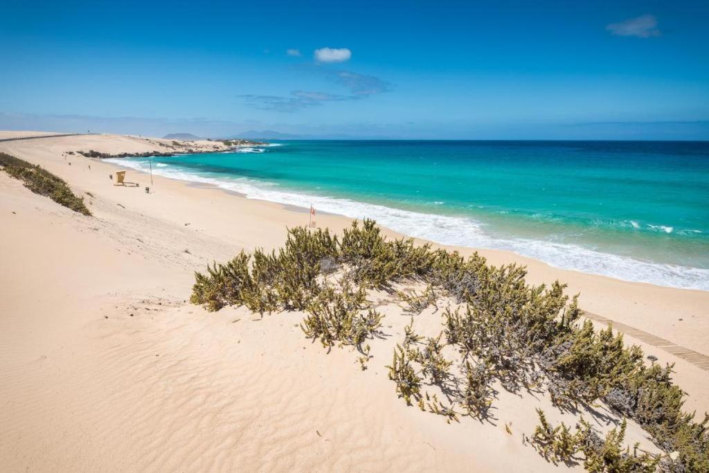 Los Majos Fuerteventura Tarajalejo Exteriér fotografie